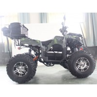 Электроквадроцикл Motax GRIZLIK E3000 4WD